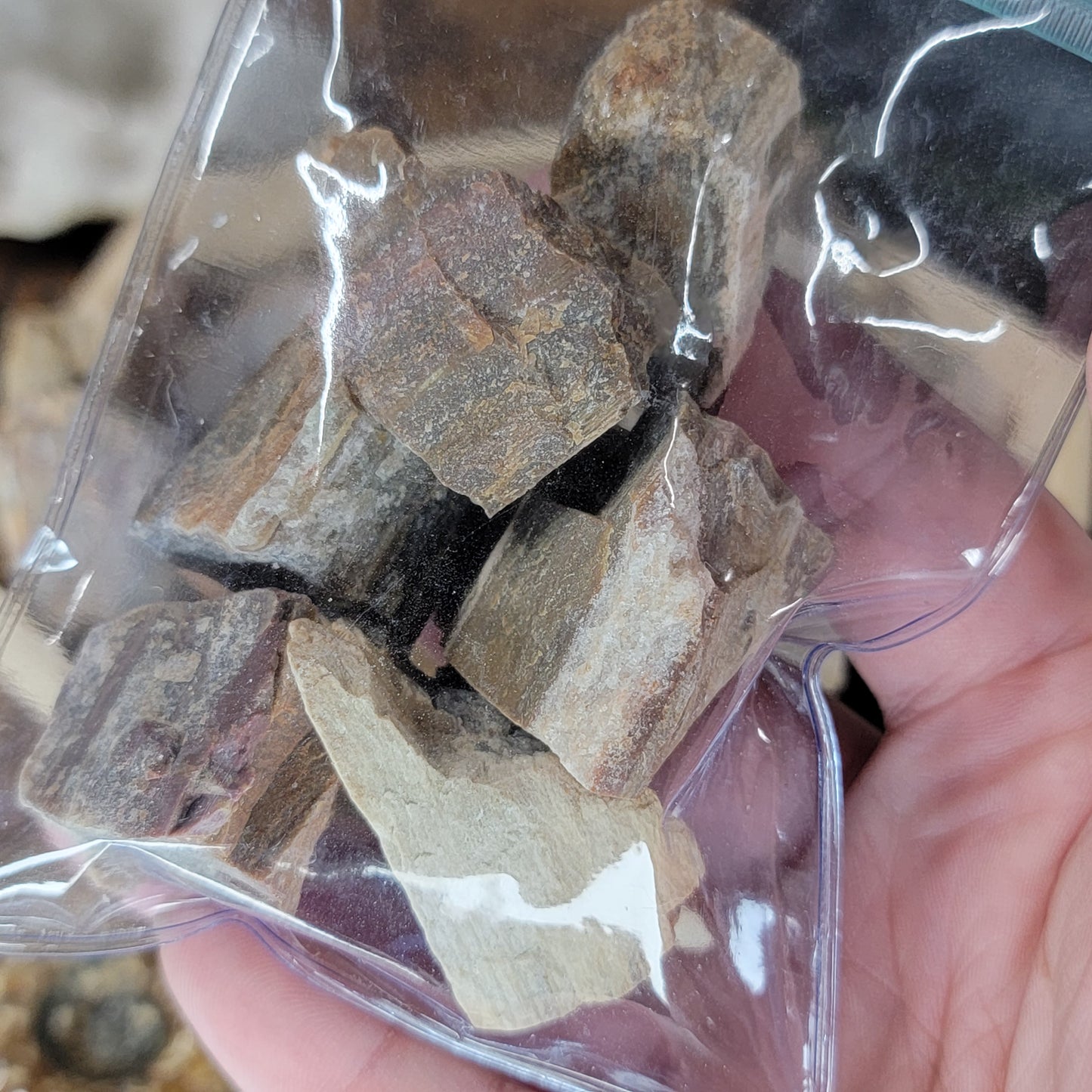 Raw Petrified Wood