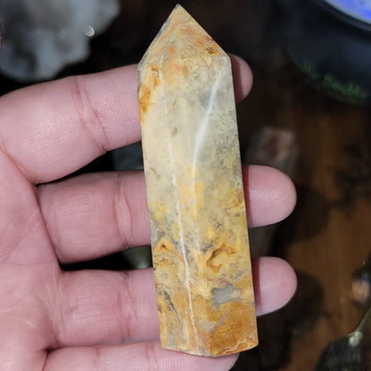 Crazy Lace Agate Points