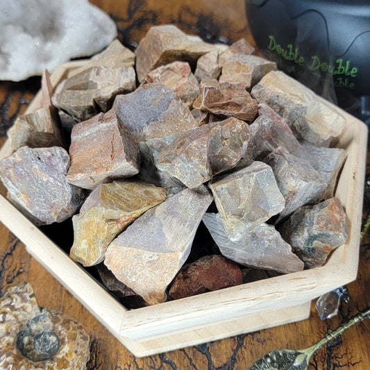 Raw Petrified Wood