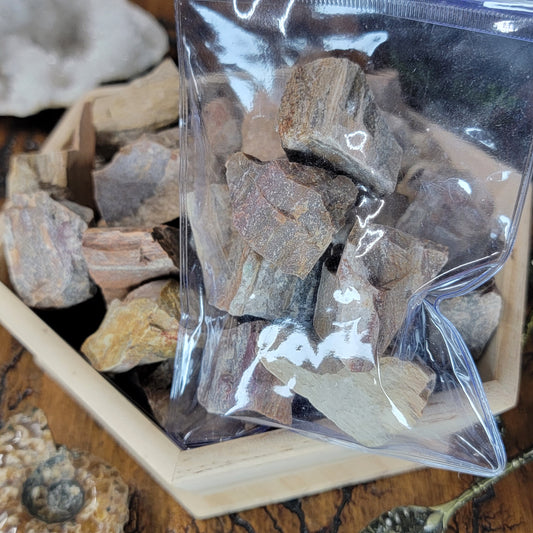 Raw Petrified Wood