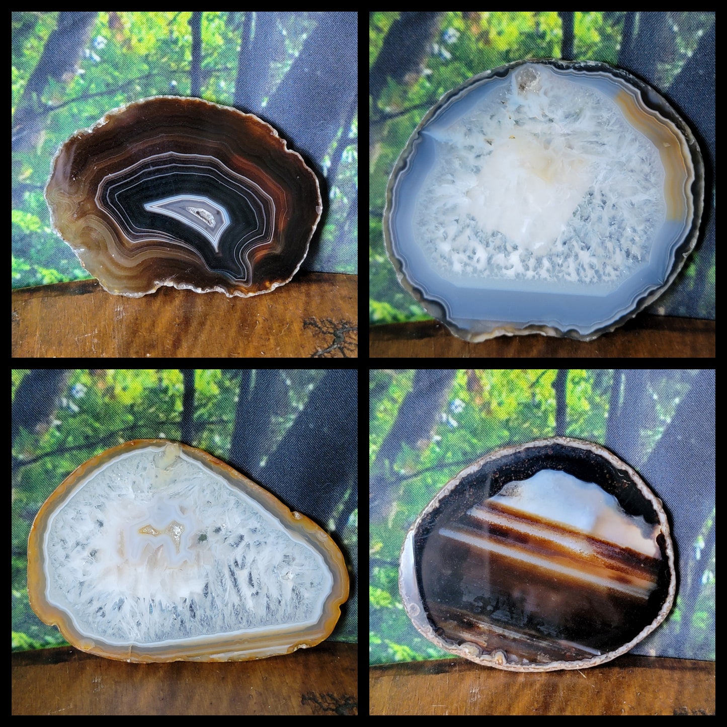 Agate Slices