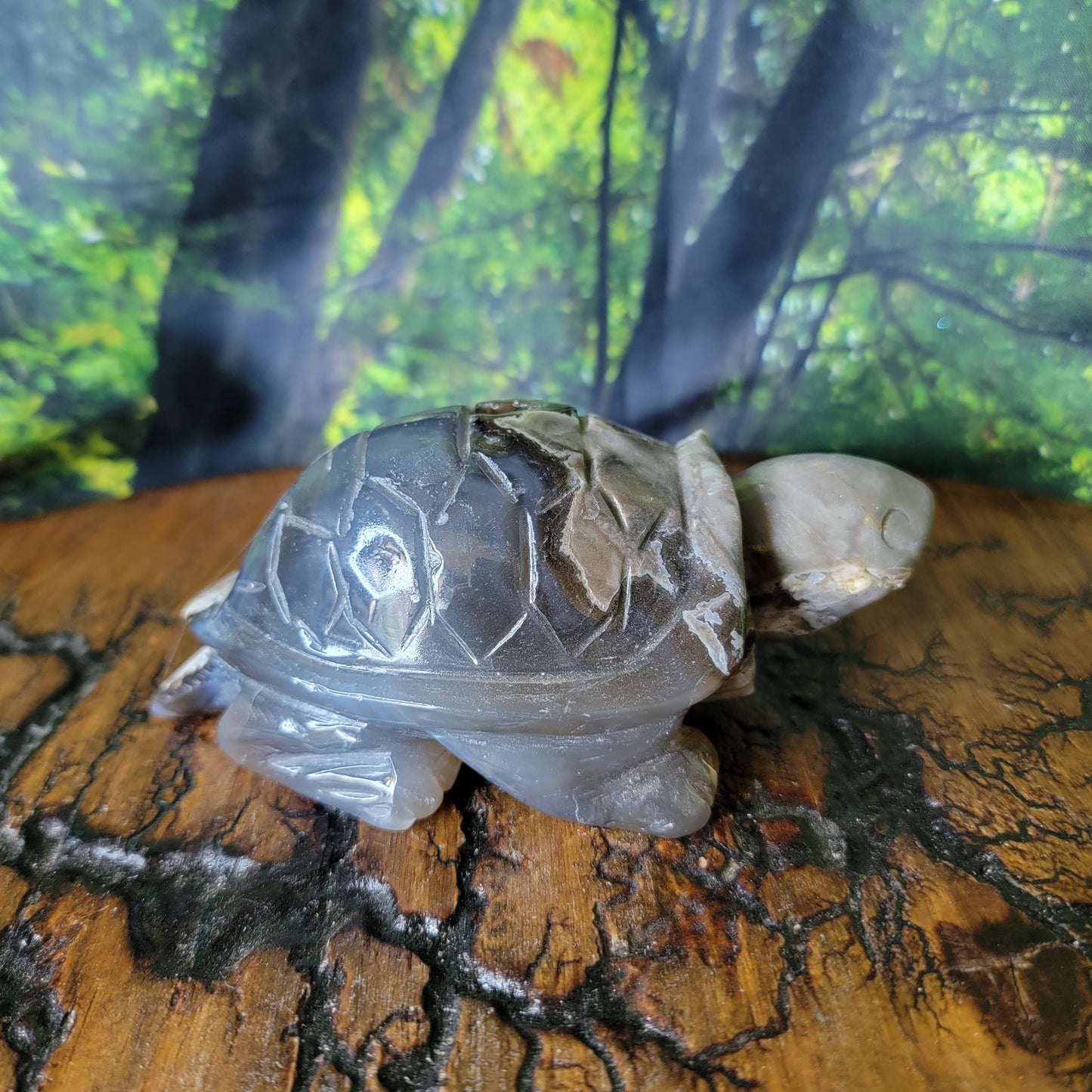 Volcano Agate Crystal Turtle