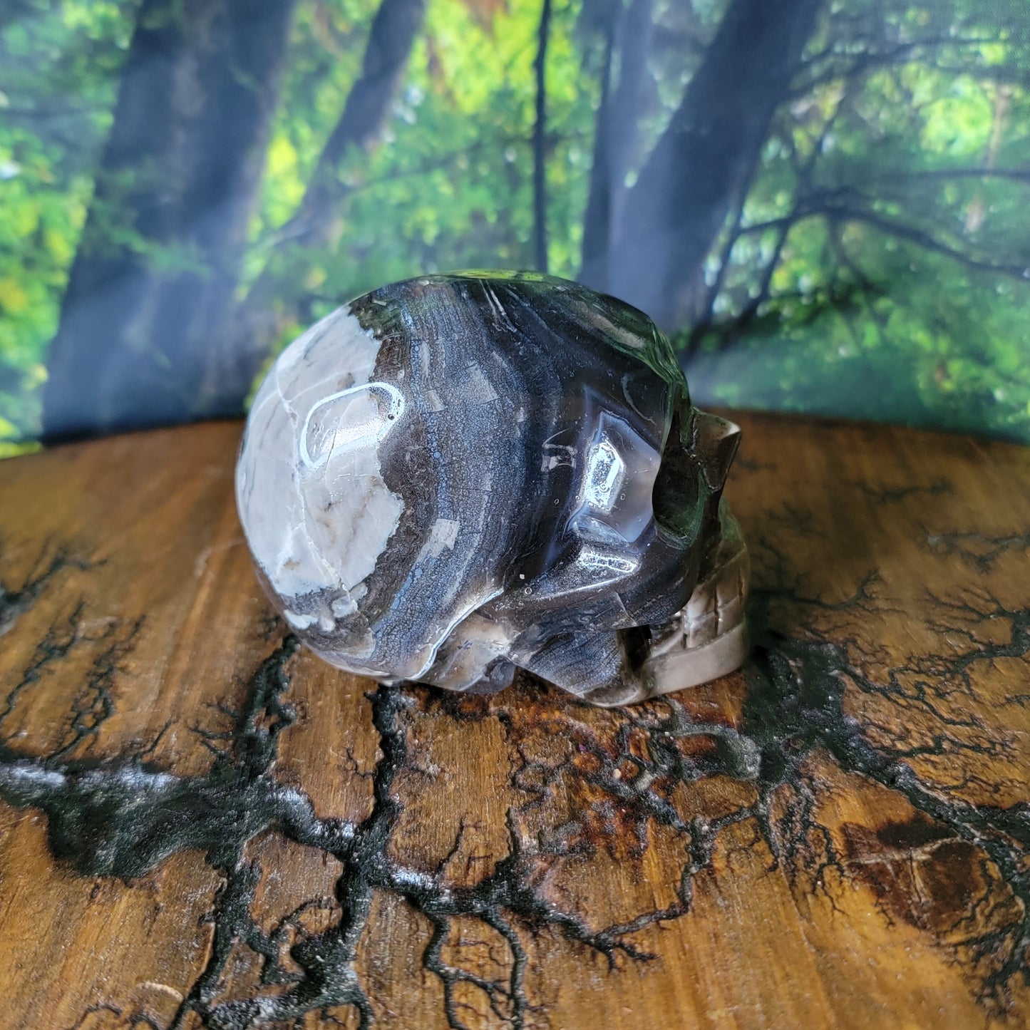 Volcano Agate Crystal Skull