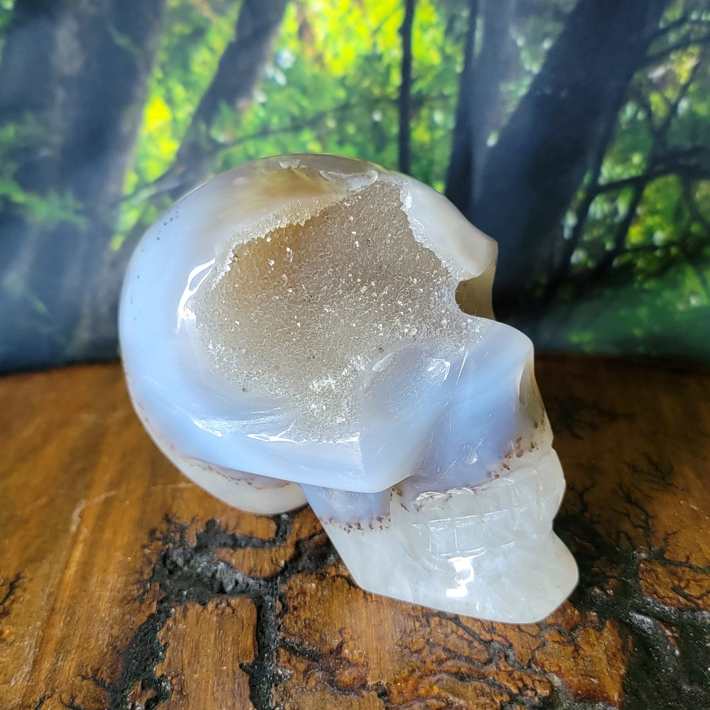 Druze Agate Crystal Skull