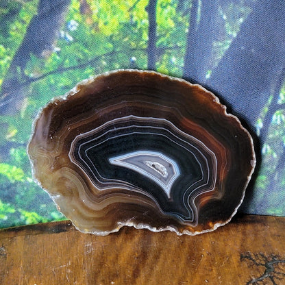 Agate Slices