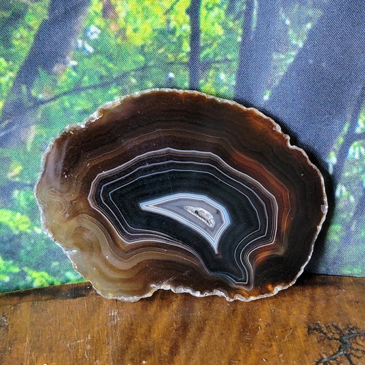 Agate Slices