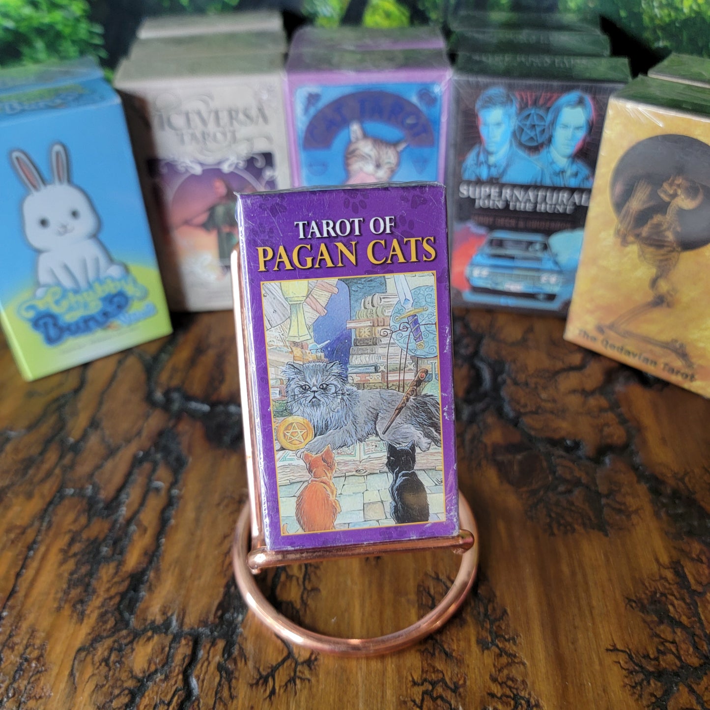 Specialty Tarot Decks & Norfolk Runes Decks