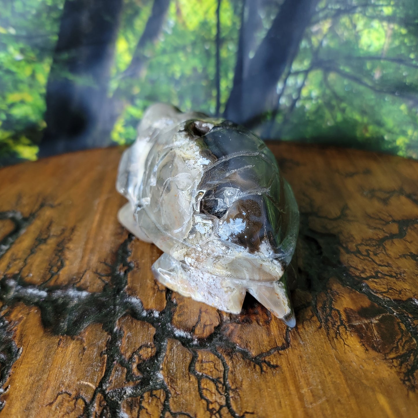 Volcano Agate Crystal Turtle