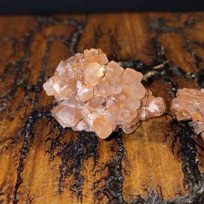 Aragonite Starburst Clusters