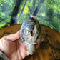 Volcano Agate Crystal Turtle