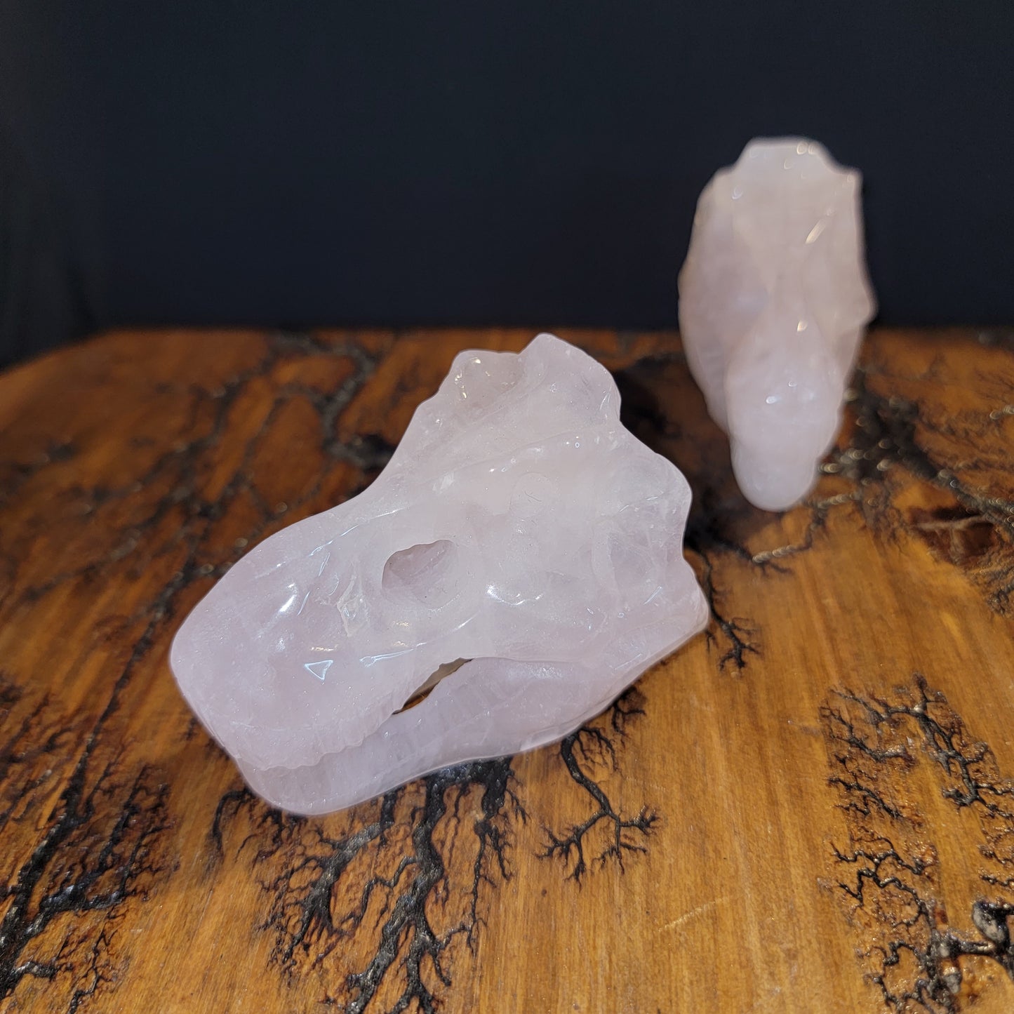 Rose Quartz T-Rex Skulls