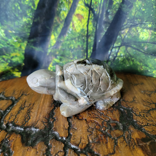 Volcano Agate Crystal Turtle