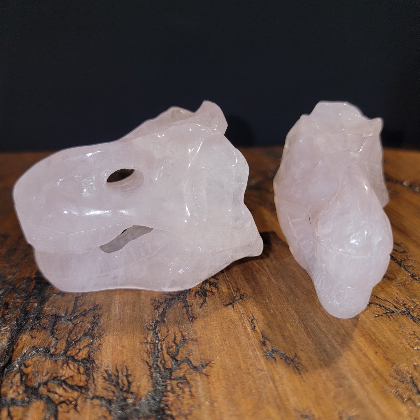 Rose Quartz T-Rex Skulls