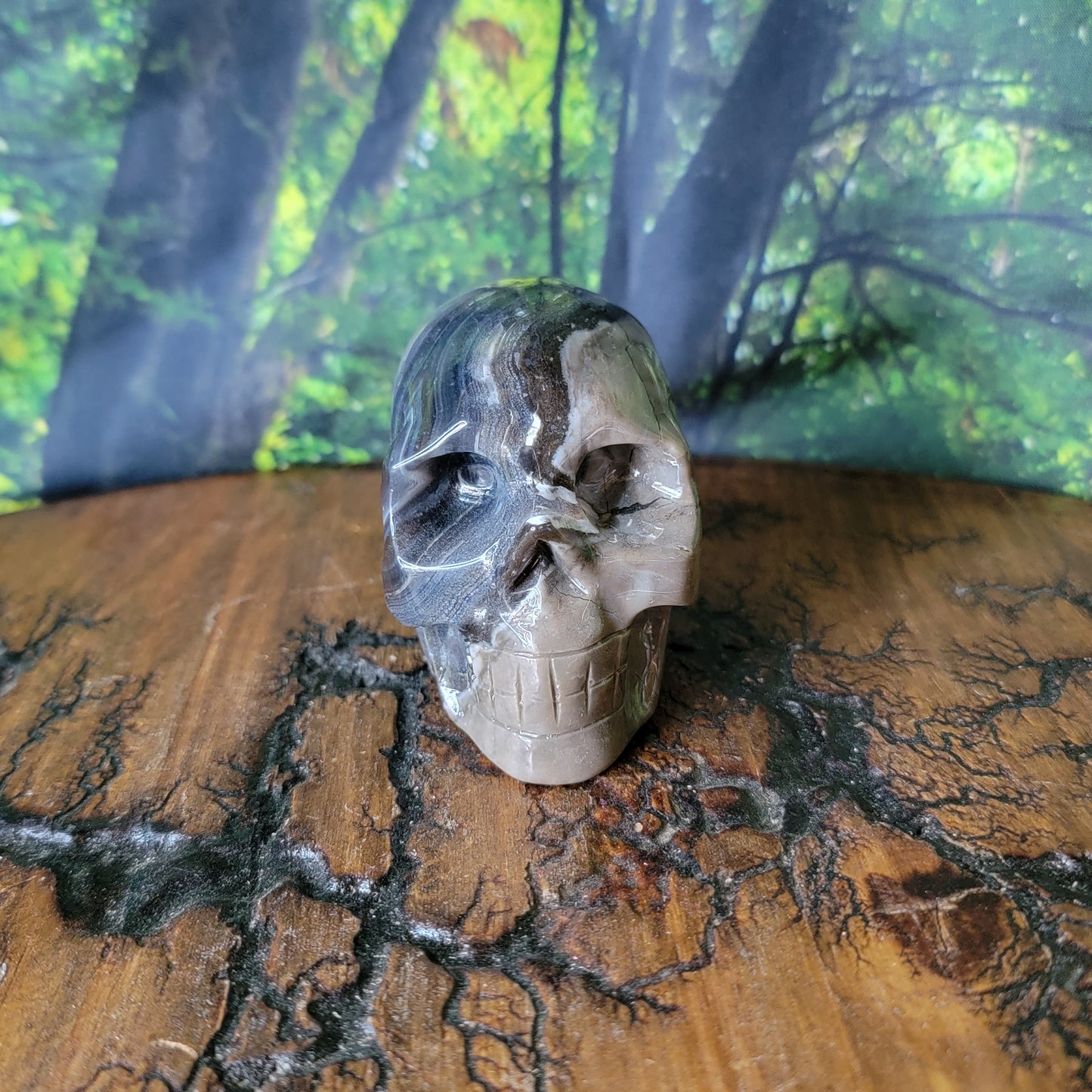 Volcano Agate Crystal Skull