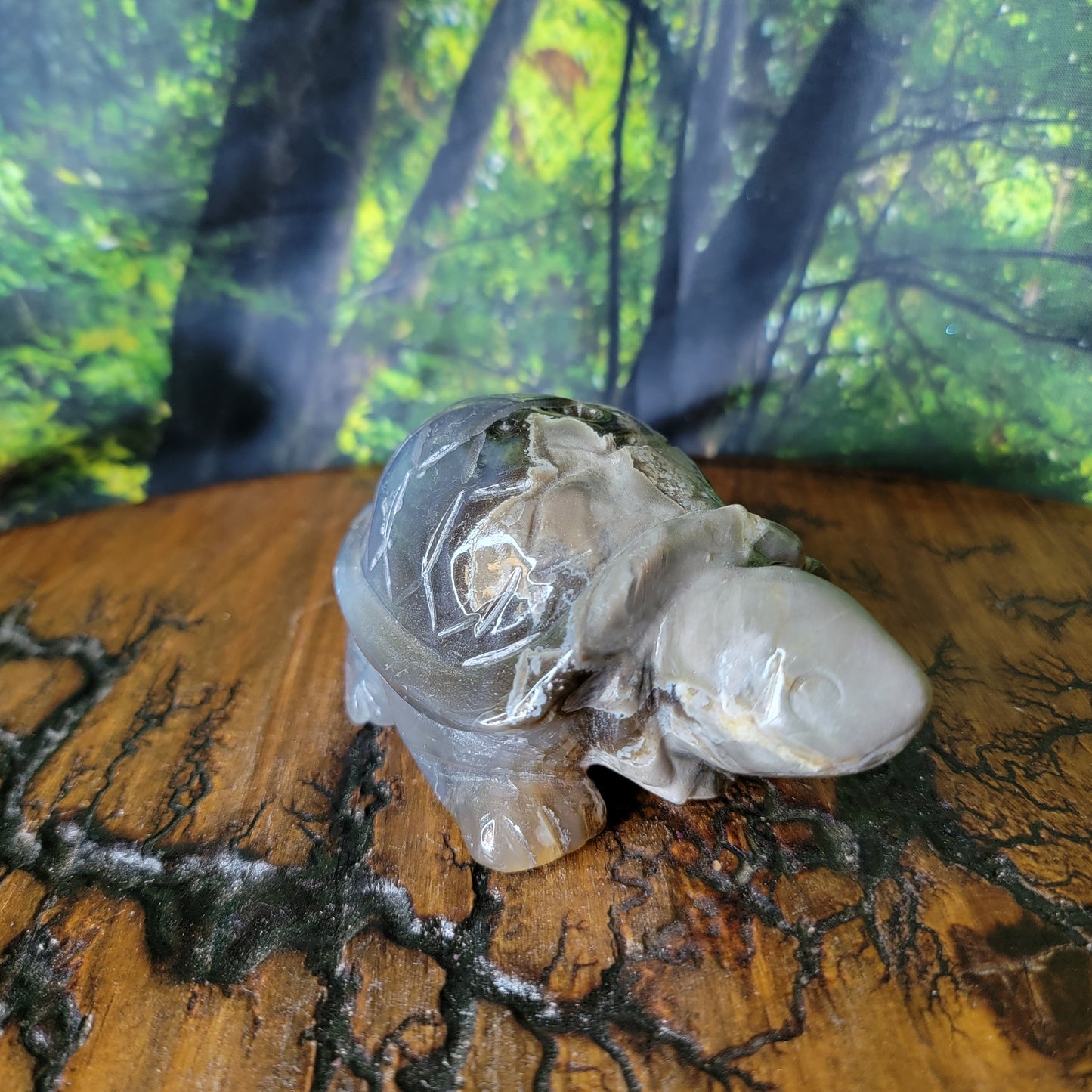 Volcano Agate Crystal Turtle