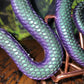 Color Shifting Resin Snake