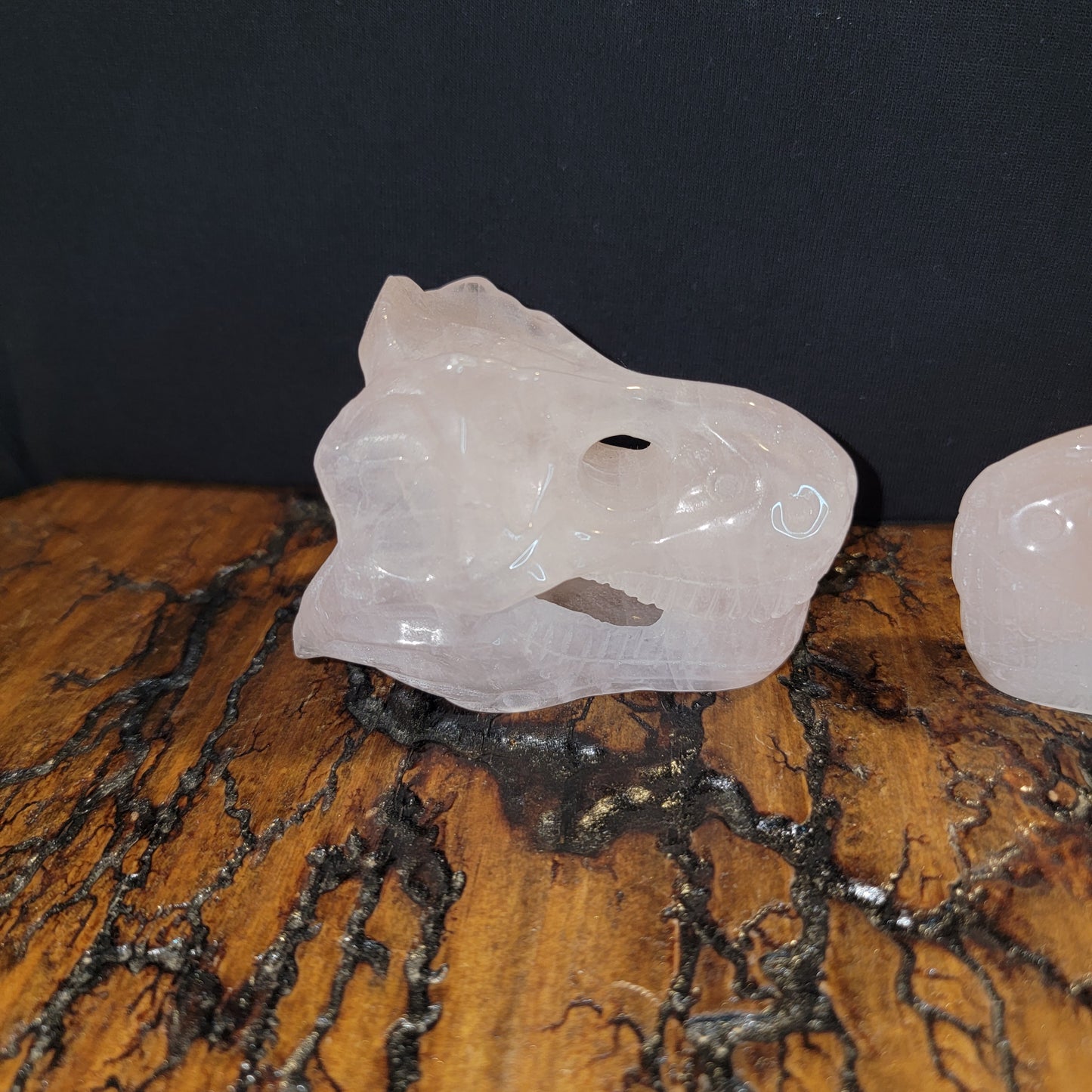 Rose Quartz T-Rex Skulls