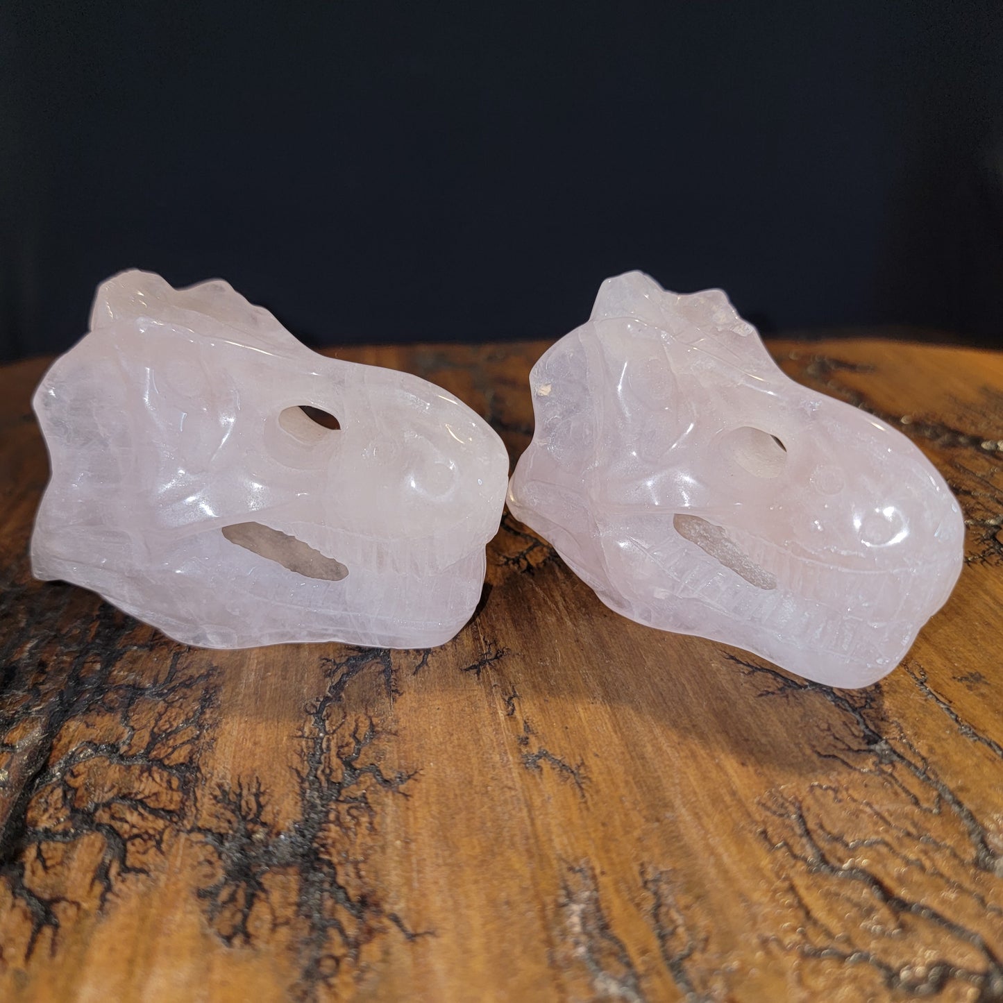 Rose Quartz T-Rex Skulls