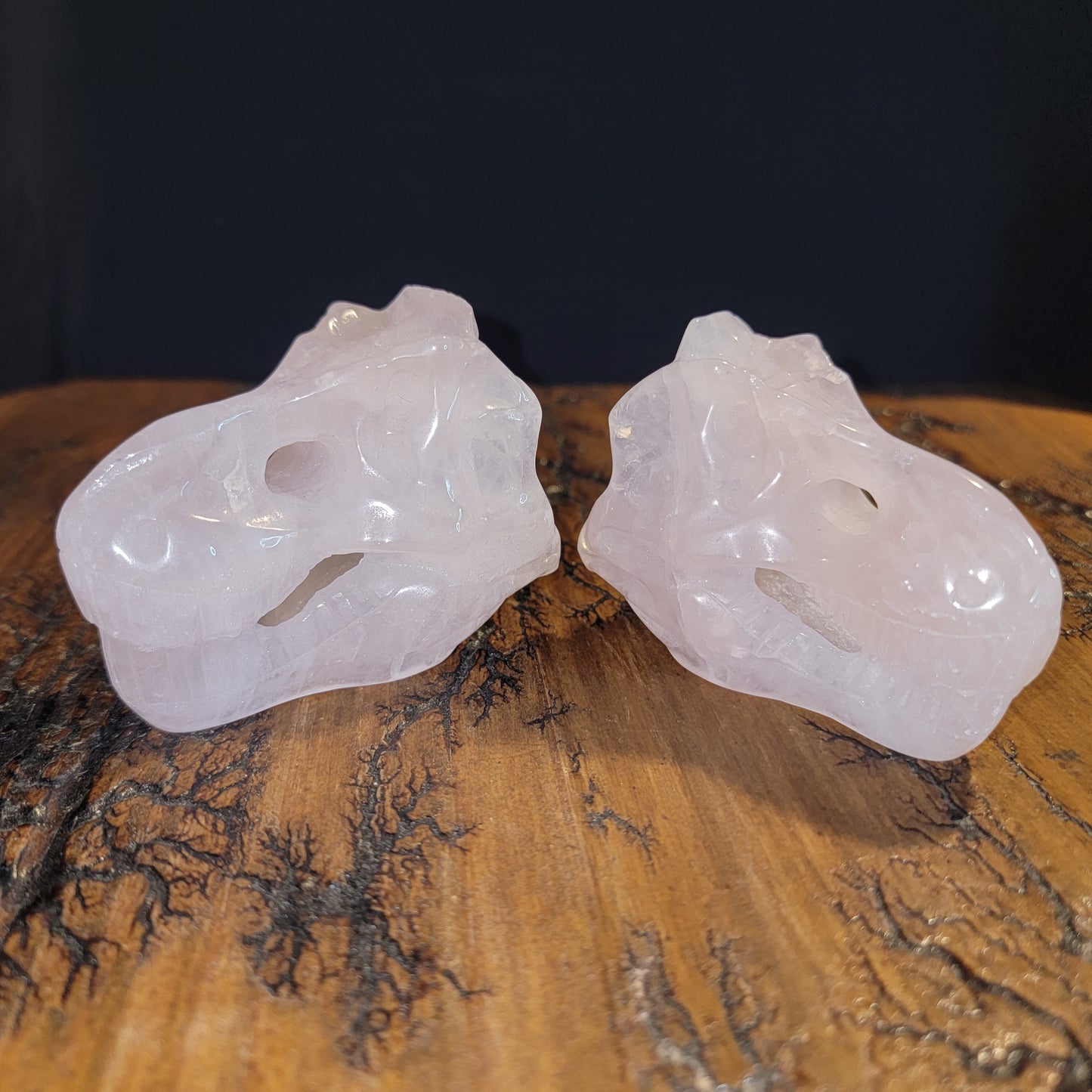 Rose Quartz T-Rex Skulls