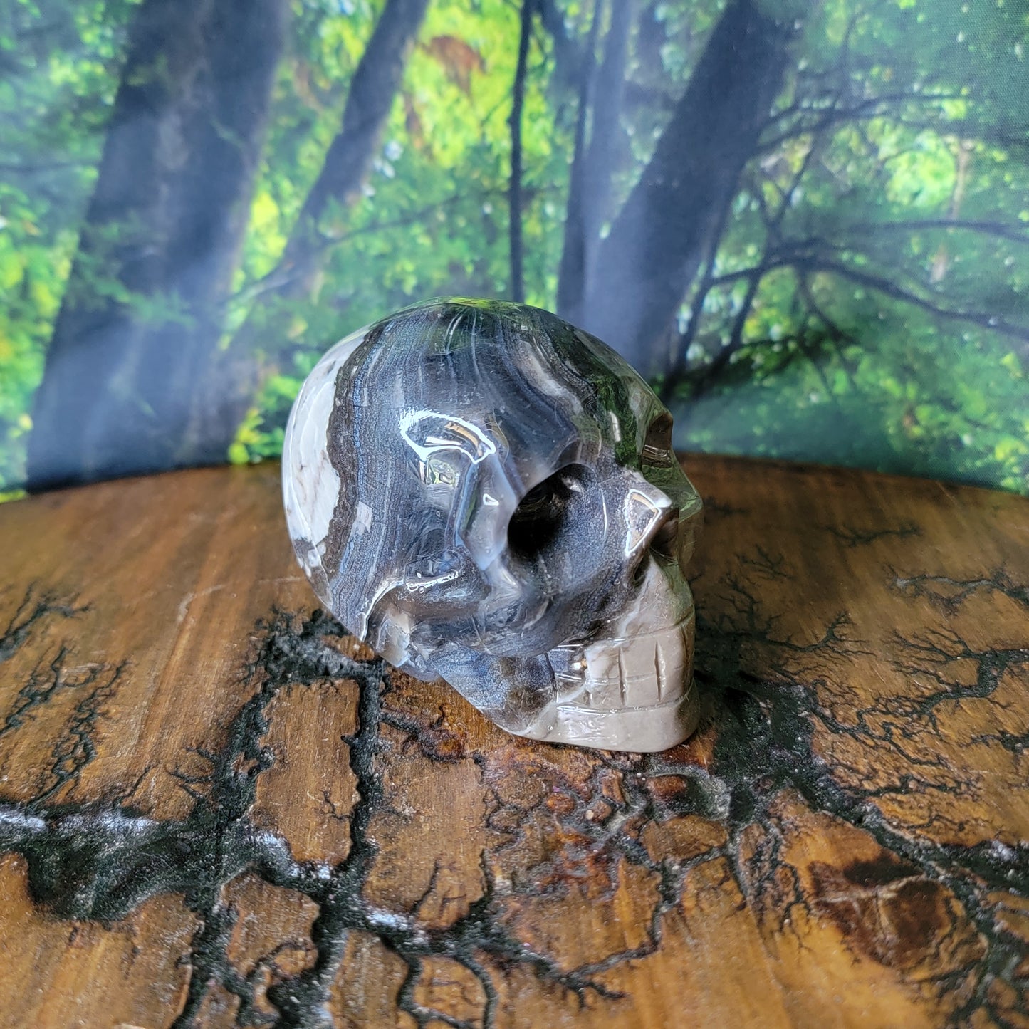 Volcano Agate Crystal Skull