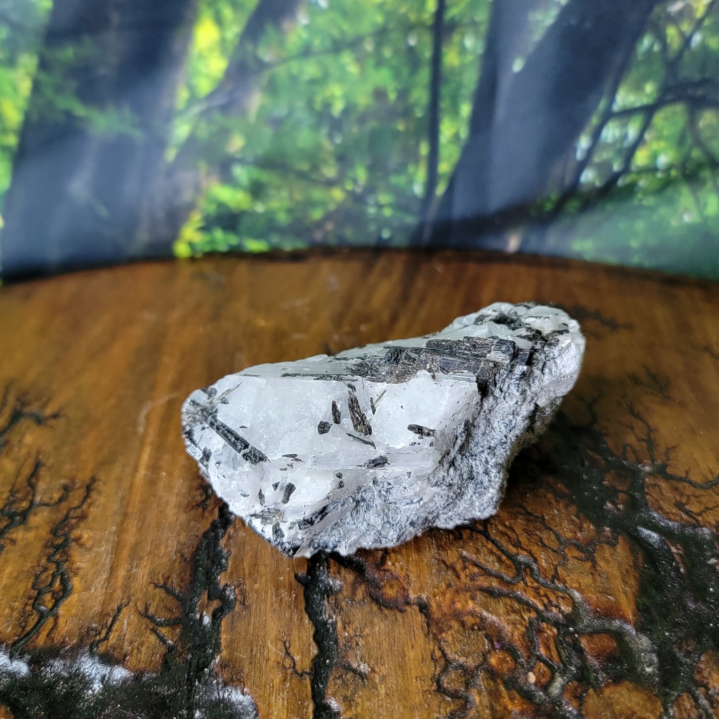 Tourmaline on Quartz Crystal Specimen