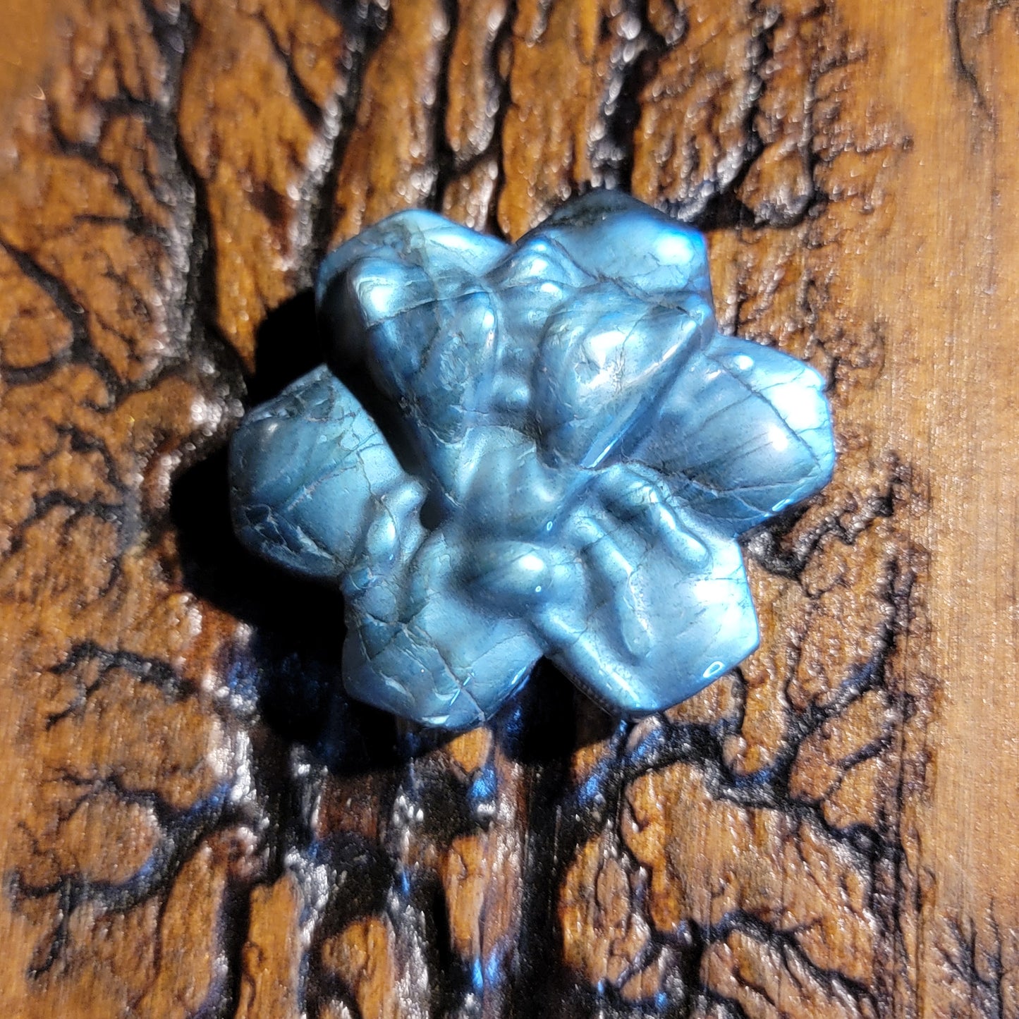 Labradorite Bee on Honeycomb