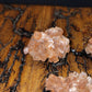 Aragonite Starburst Clusters