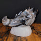 Black Agate Dragon Head